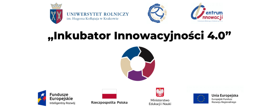 Program Inkubator Innowacyjności 4.0
